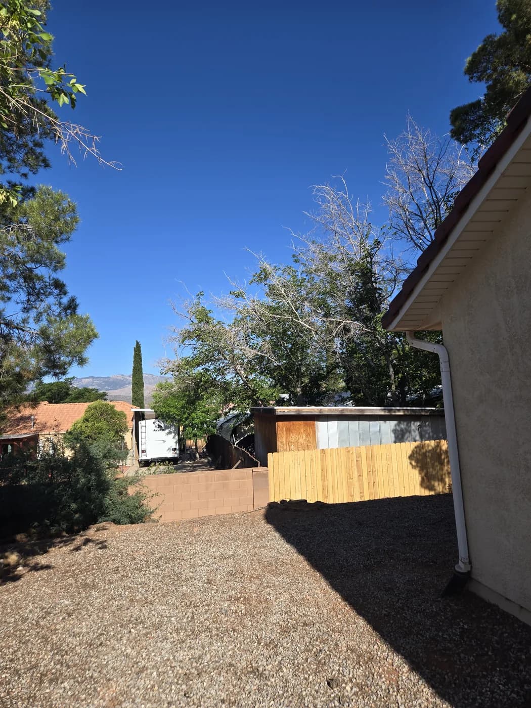 The same yard cleared and tidy after the tree was removed